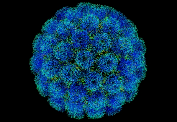 中国科研人员：新型冠状病毒已经突变！