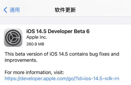 iOS 14.5 Beta6ˣiPhone 11û