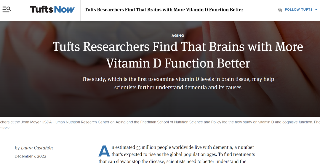 富含维生素D的大脑功能更好