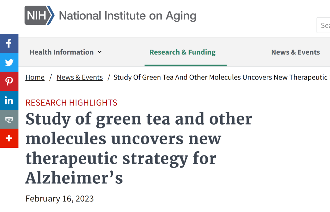 对绿茶和其他分子的研究揭示了阿尔茨海默病的新治疗策略