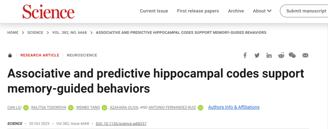 Associative and predictive hippocampal codes support memory-guided  behaviors