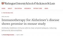 小鼠研究中看免疫疗法治疗阿尔茨海默病