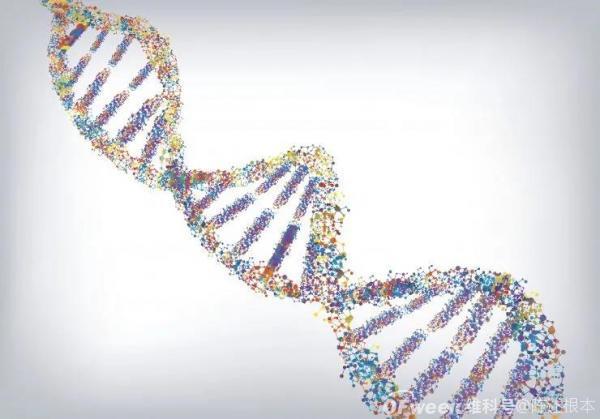陈根：DNA损伤，如何加速衰老？