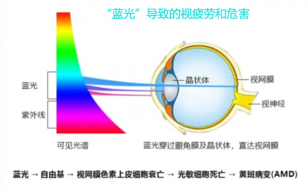 RG0标准全光谱LED光源—台湾旺泓防蓝光灯珠